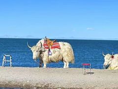-青海湖国家重点风景名胜区