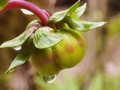 -西岭雪山大飞水景区