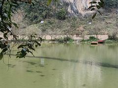 -靖西鹅泉风景区