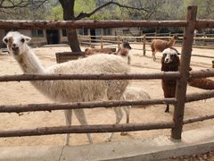 -西安秦岭野生动物园