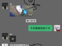 -伟伟宠物医院·CT影像中心·瑞派犬猫综合性门诊(汉口总院)