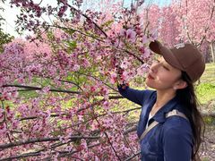 -古柏渡飞黄旅游区