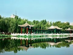 -莲花池公园