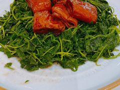 草头圈子-老正兴菜馆(福州路店)