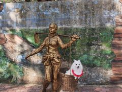 -北海金海湾红树林生态旅游区