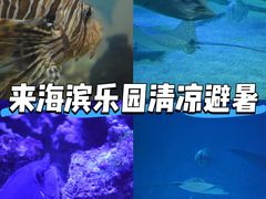 -烟台海昌鲸鲨海洋公园