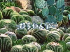 -中国科学院华南植物园