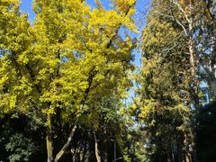 -浙江大学(玉泉校区)