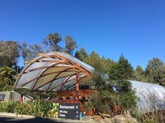 -怀托摩萤火虫洞