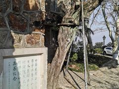 -紫金山天文台