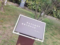 -莲湖公园