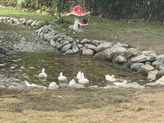 -HERRE·FARM 赫尔露营农场·团建聚会包场