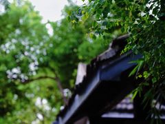 -颐和路民国时期公馆风貌区