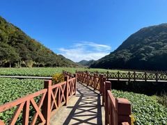 -广州市石门国家森林公园