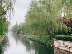 -元大都城垣遗址公园