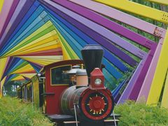 -合肥滨湖国家森林公园