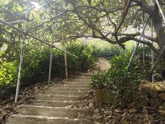 -缥缈峰景区