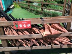 -吉姆冒险世界(蓟州店)