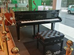 -柏斯琴行(汾阳店)