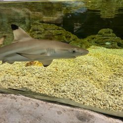 -Zoolung Zoolung动物主题公园(海信广场店)