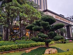 -惠州康帝国际酒店