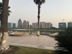 -金沙湖公园