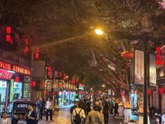 -广州都市观光巴士(粤陶巴)