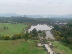 -张坝桂圆林公园