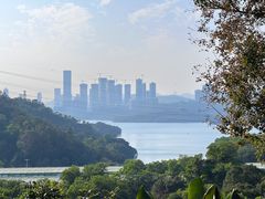 -深圳仙湖植物园