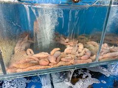 -小郭私房菜·海肠捞饭店(学士街店)