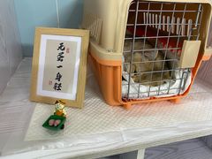 -纳吉亚猫专科动物医院·北北分院