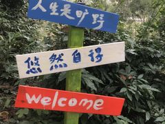 -芦仙山景区-飞越丛林探险乐园