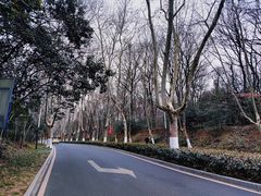 -WeLope紫金山探险公园
