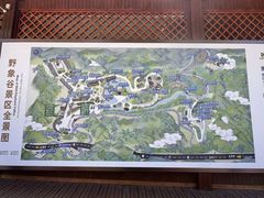 -野象谷景区