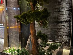 -江南足纪·影院足道·轻奢SPA(笋岗HALO广场店)