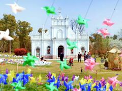 -杭州湾海上花田景区