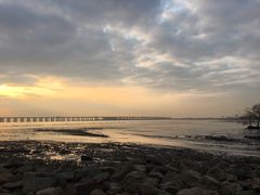 -宝安西湾红树林湿地公园