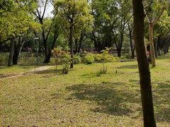-福田红树林生态公园