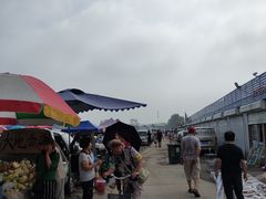 -南戴河海滨市场