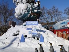 -大连老虎滩海洋公园