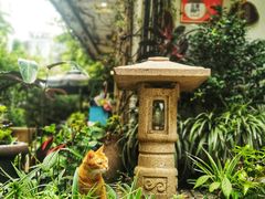 -默迹咖啡馆
