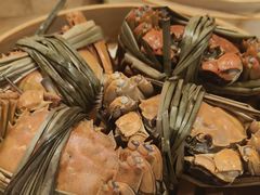 -杨氏青龙虾·羊蝎子(珠江路店)