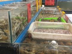 -渔民船说·北塘海鲜·天津菜·海肠捞饭(北塘古镇店)
