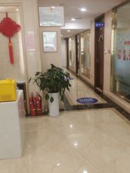 -碧莲盛·不剃发植发