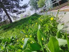 -东郊湿地公园
