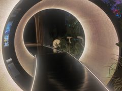 -水之梦(黄浦店)