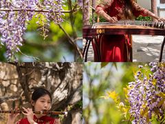 -龙口南山旅游景区