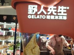 -野人先生现做冰淇淋(北京王府井东方新天地店)