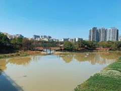 -广东花都湖国家湿地公园