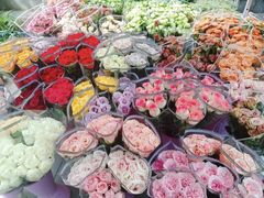 -宝鸡东道花鸟鱼虫市场(吉利花园商场店)
